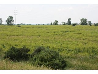 Property photo 26 - 419 +/- Acres offered in 6 Tracts, Land Auction